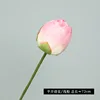 Flor de loto entreabierta [rosa]