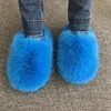 Blue fox