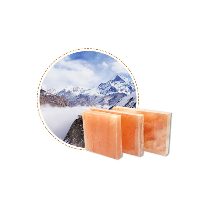 Himalayan Salt Brick for Sauna and Steam Rooms Mini Himalayan Salt Brick 500g for Craft Projects