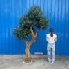 1#(Artificial olive tree deposit)