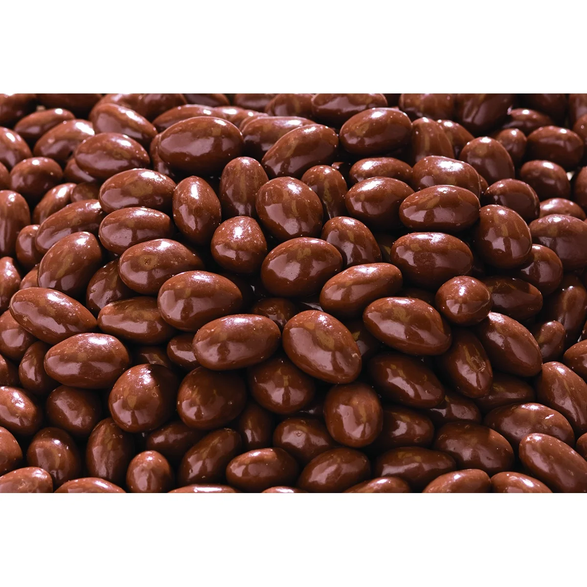 TH Foods Top Quality Milk Chocolate Almonds, 1/25 lb. Delicious Food! Great for Snacking!