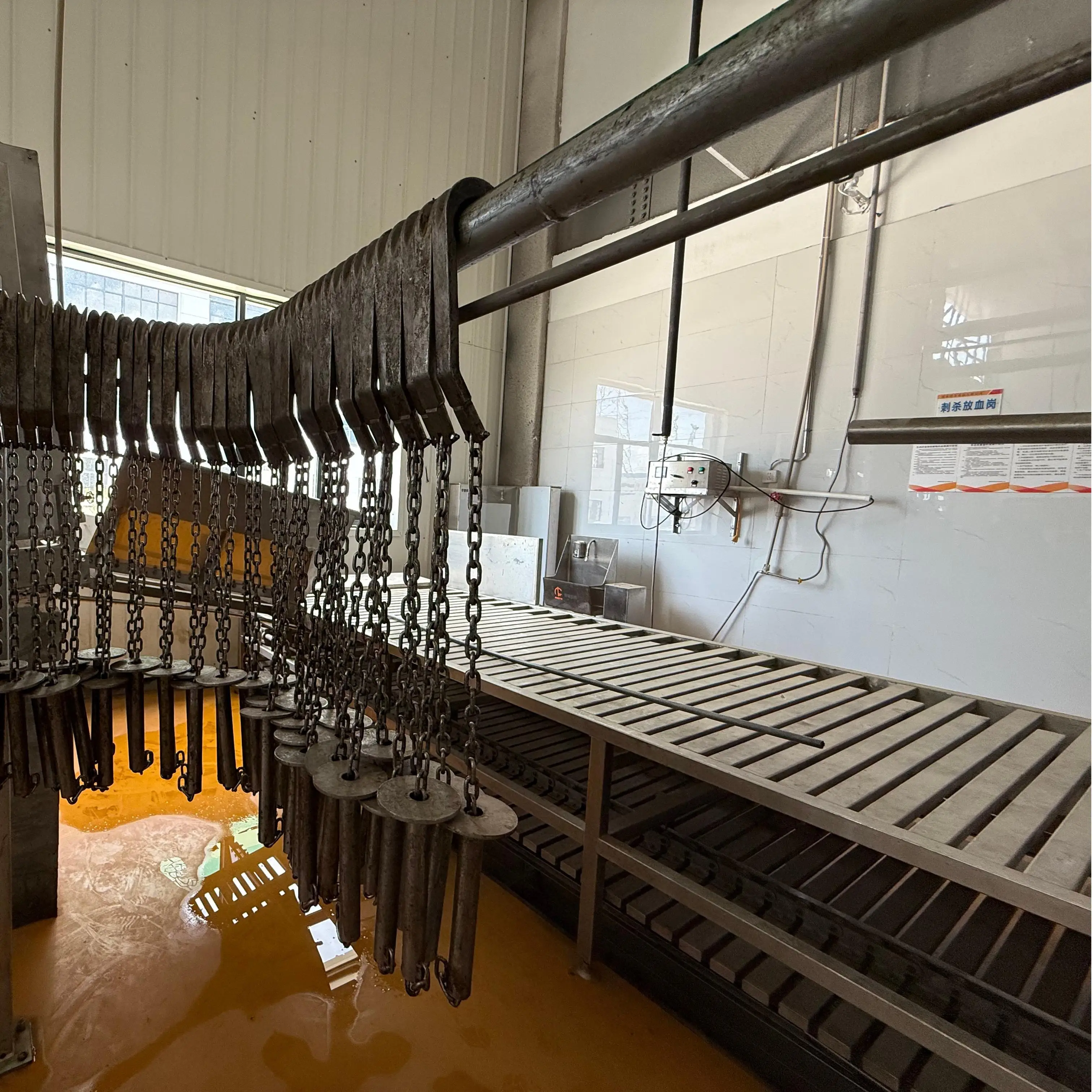 Complete pig slaughterhouse equipment for professional pig slaughtering systems