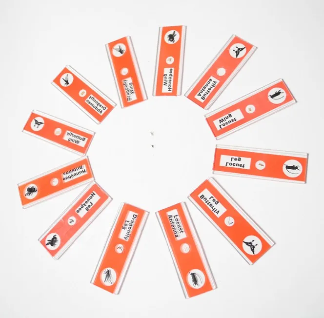 Заводские Пластиковые медицинские гистологические предметы горячая Распродажа микроскопы готовые для обучения