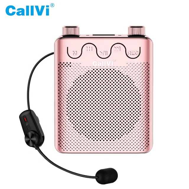 CallVi V-807 Rechargeable Mini Audio Speaker Amplifier with Wireless Microphone and FM Radio