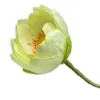 Verde chiaro