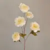 7#