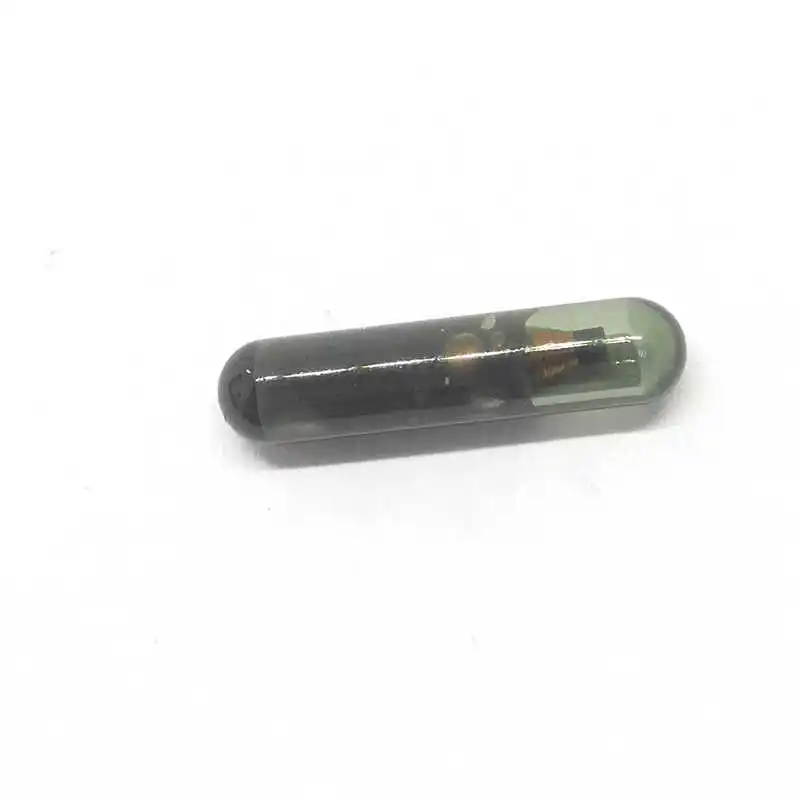 Topbest Transponder Car Key Chip 4D60 4D63 ID48 ID13 ID4C ID44 PCF7935 PCF7936AA PCF7936AS T5-ID20 4D60 Glass Chip