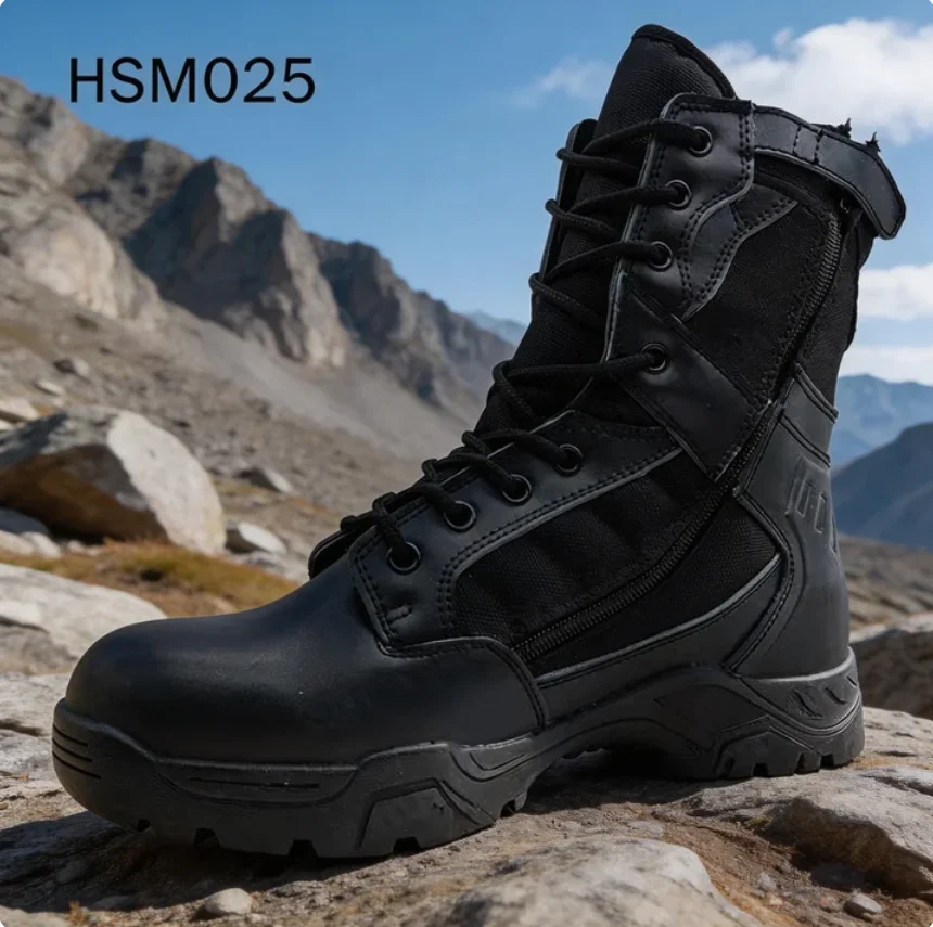 HSM025 (2)