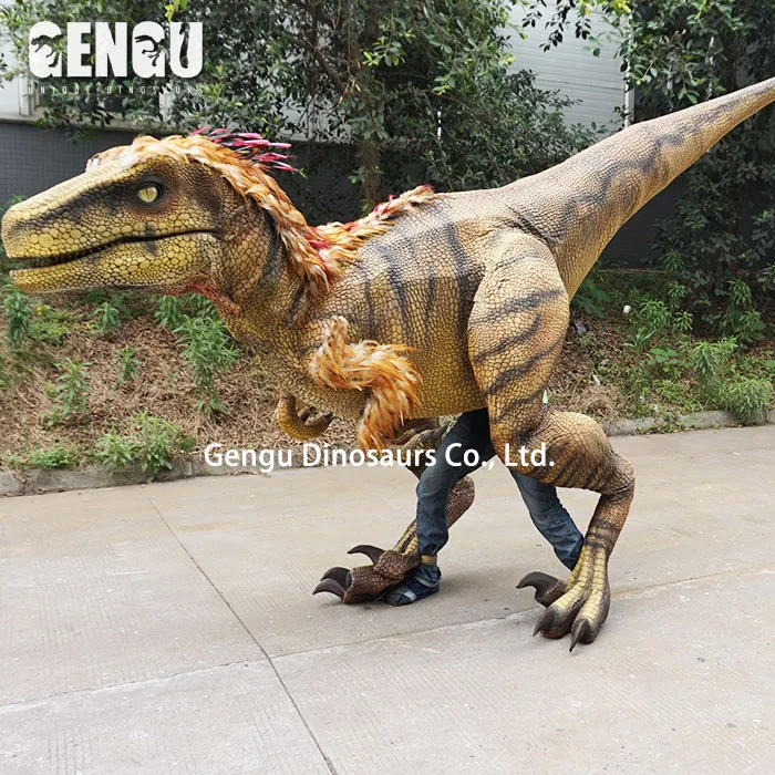 Foto Costume Dinosauro, oltre 62.000 Foto Stock Gratuite di Alta Qualità