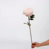 Petite pivoine rose clair
