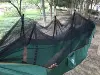 Verde scuro