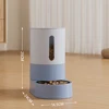 Blue Feeder