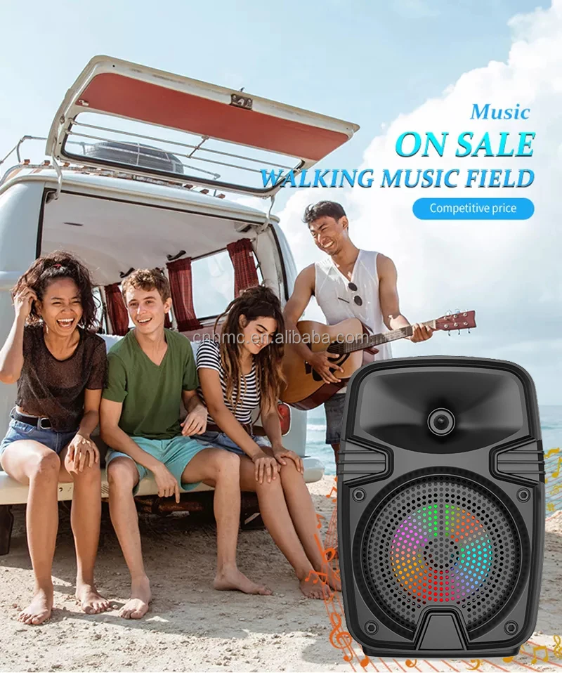 Portable Bluetooth Speaker - Creative Mini Subwoofer with FM, TF Card ...