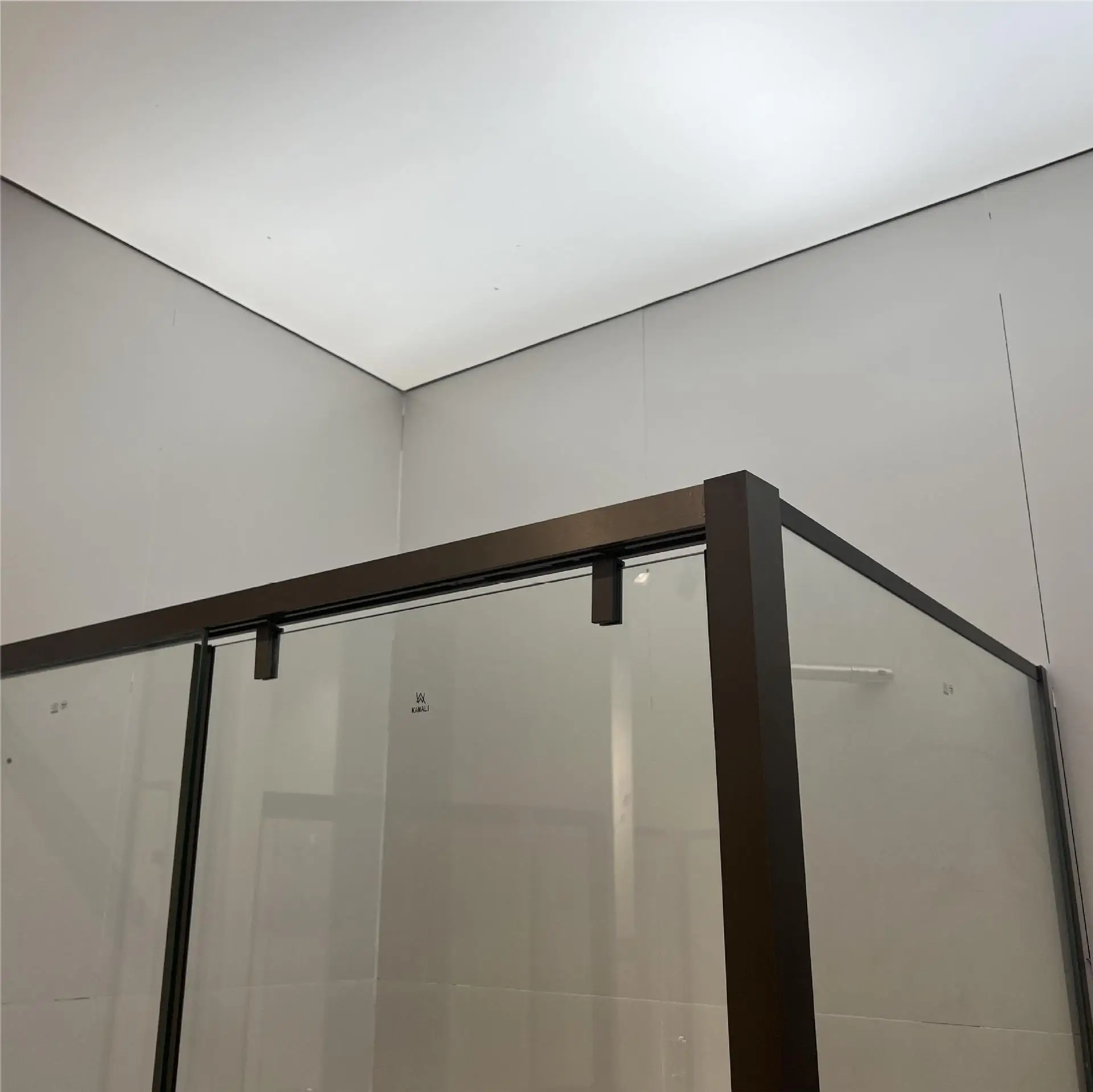 Bathroom Rectangular Single Moving Door 2 Pieces Fixed Shower Panels with Shelf Shower Doors Complete
