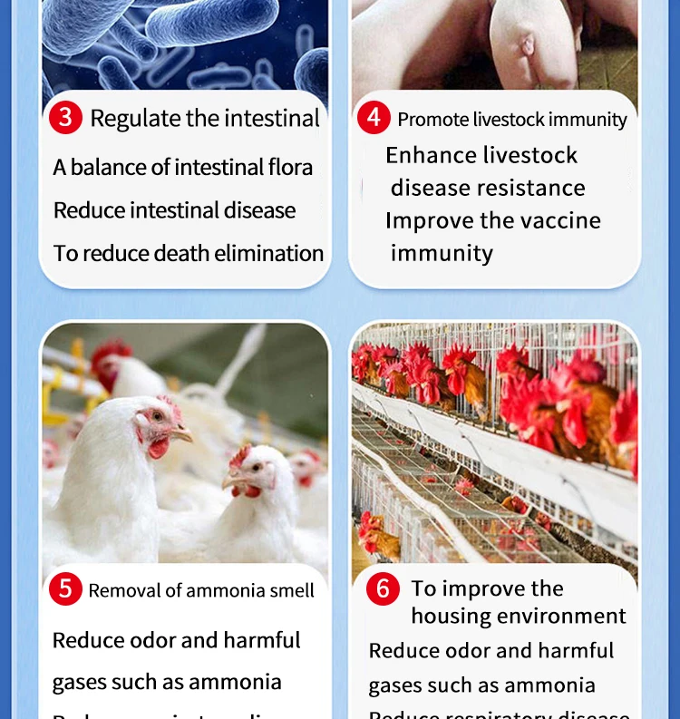 Animal Chicken Feed Additives Poultry Vitamin Premix Probiotics Bacillus Subtilis Powder Poultry