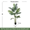 Palmier Areca vert de 1,80 m (6 pieds)