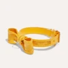 yellow collar