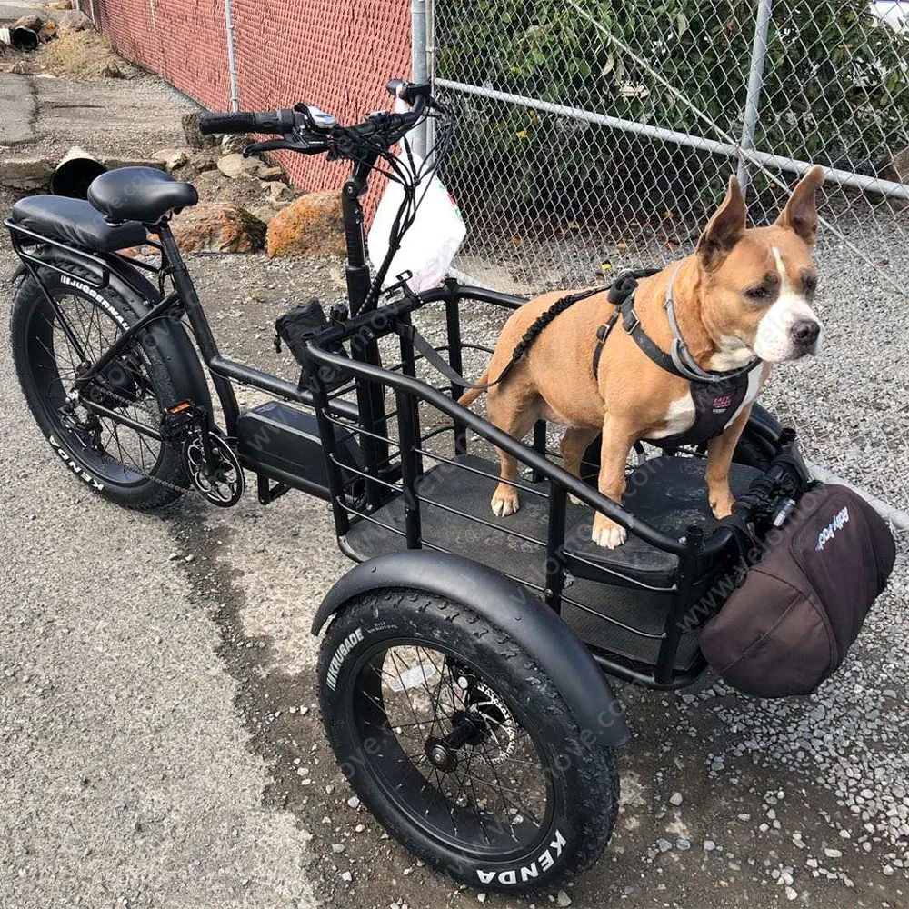 Tricycle Motorized Cargo Electric Bicycle Velomove VMST4