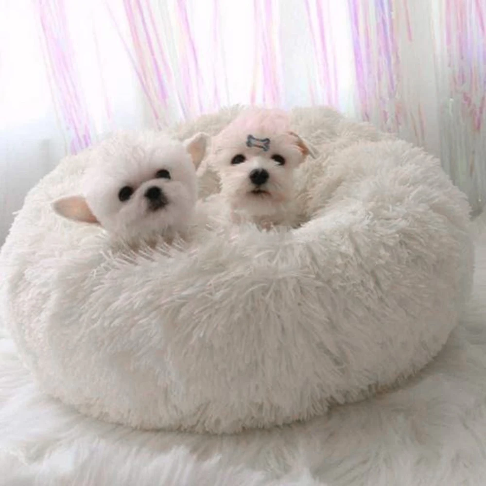 round plush dog bed