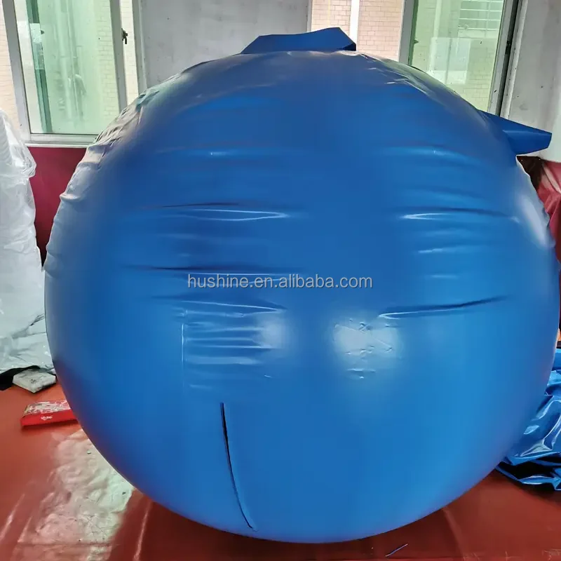 Factory Price Inflatable Pvc Ball Game Suit Inflatable Blueberry Suit Buy Inflatable Blueberry