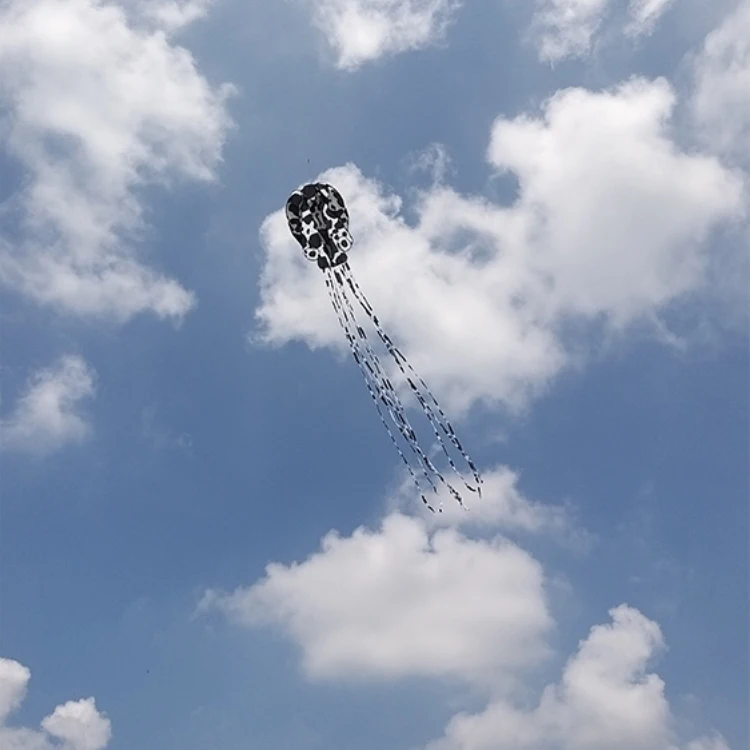 20190809_111258_007.jpg