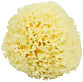 All Natural Honeycomb Renewable Soft Real Sponge Sea Wool Sponge by Bath & Shower Express