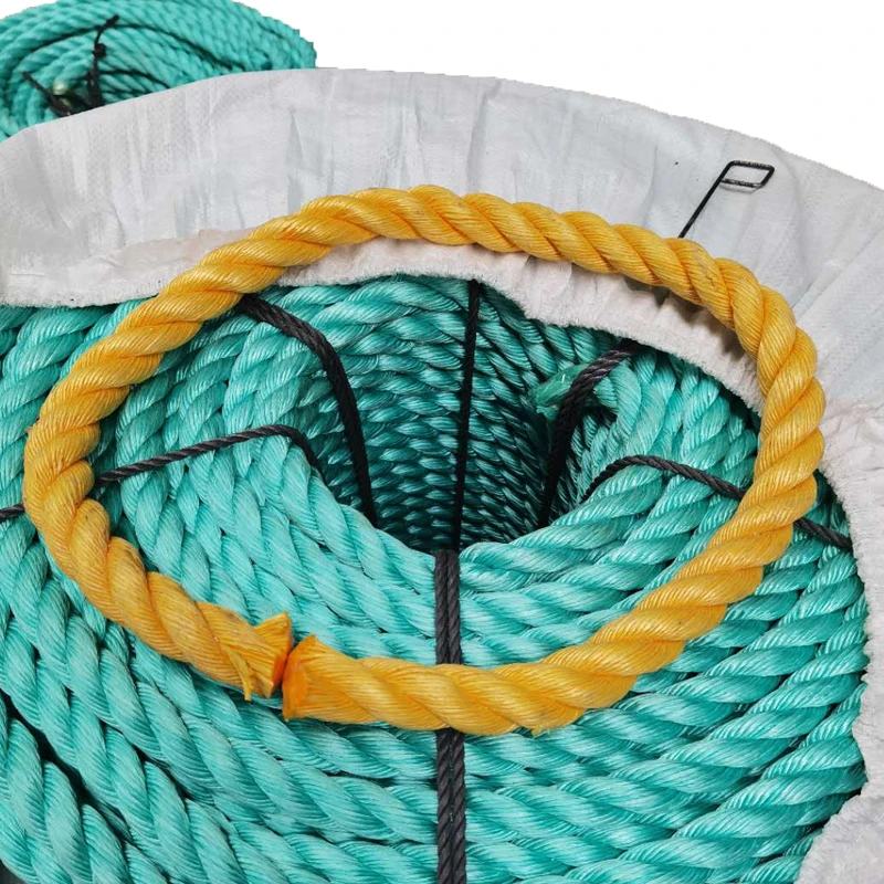 3 or 4 Strands Twisted pp Danline Fishing Rope for Fishing Industry