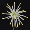 J012