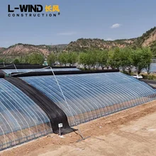 Full Steel Oval Pipe Greenhouse for Flowers Tomato Tunnel Greenhouse Kit Solar Green House Agricultural Greenhouse