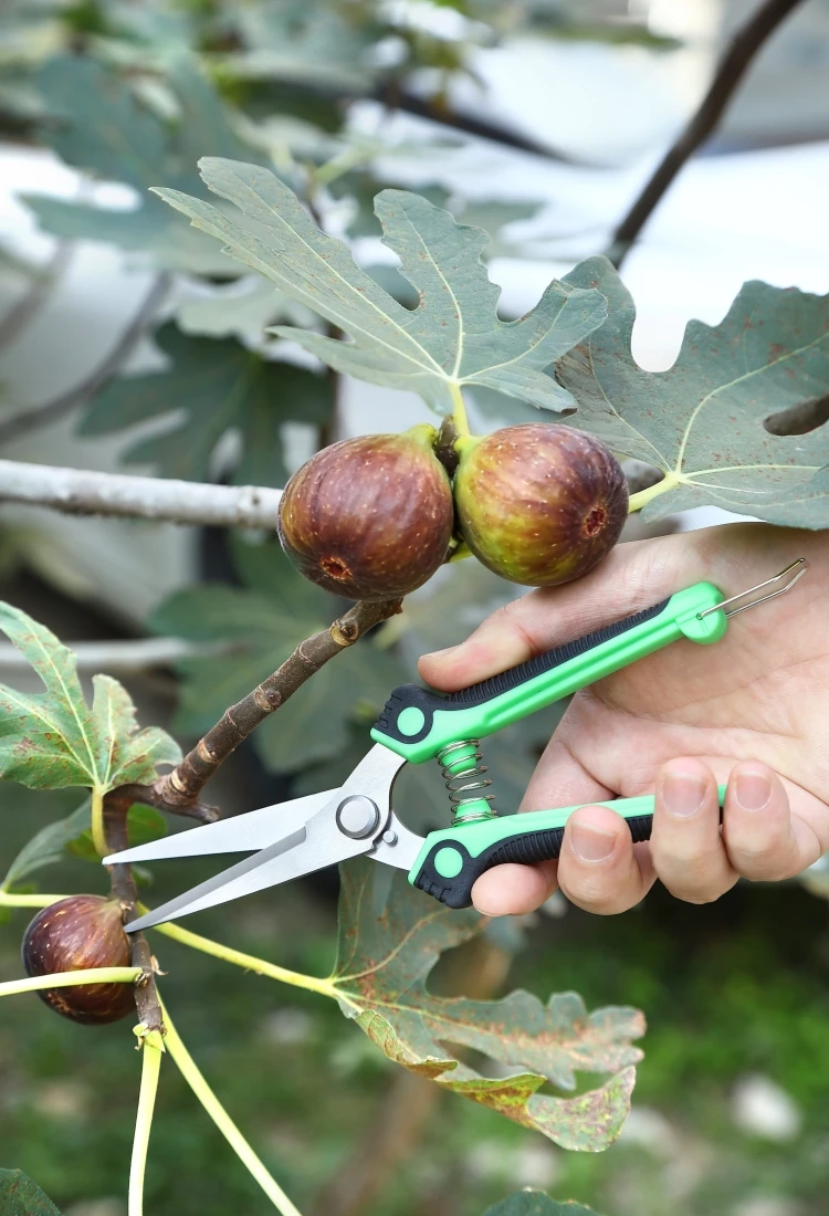 Gardening hand pruning scissors