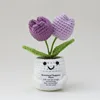 Tulipanes dobles, color lila claro + morado.
