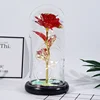 Plastic bottom + leaves Red laser flower