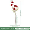 AL168-215-1 Rouge
