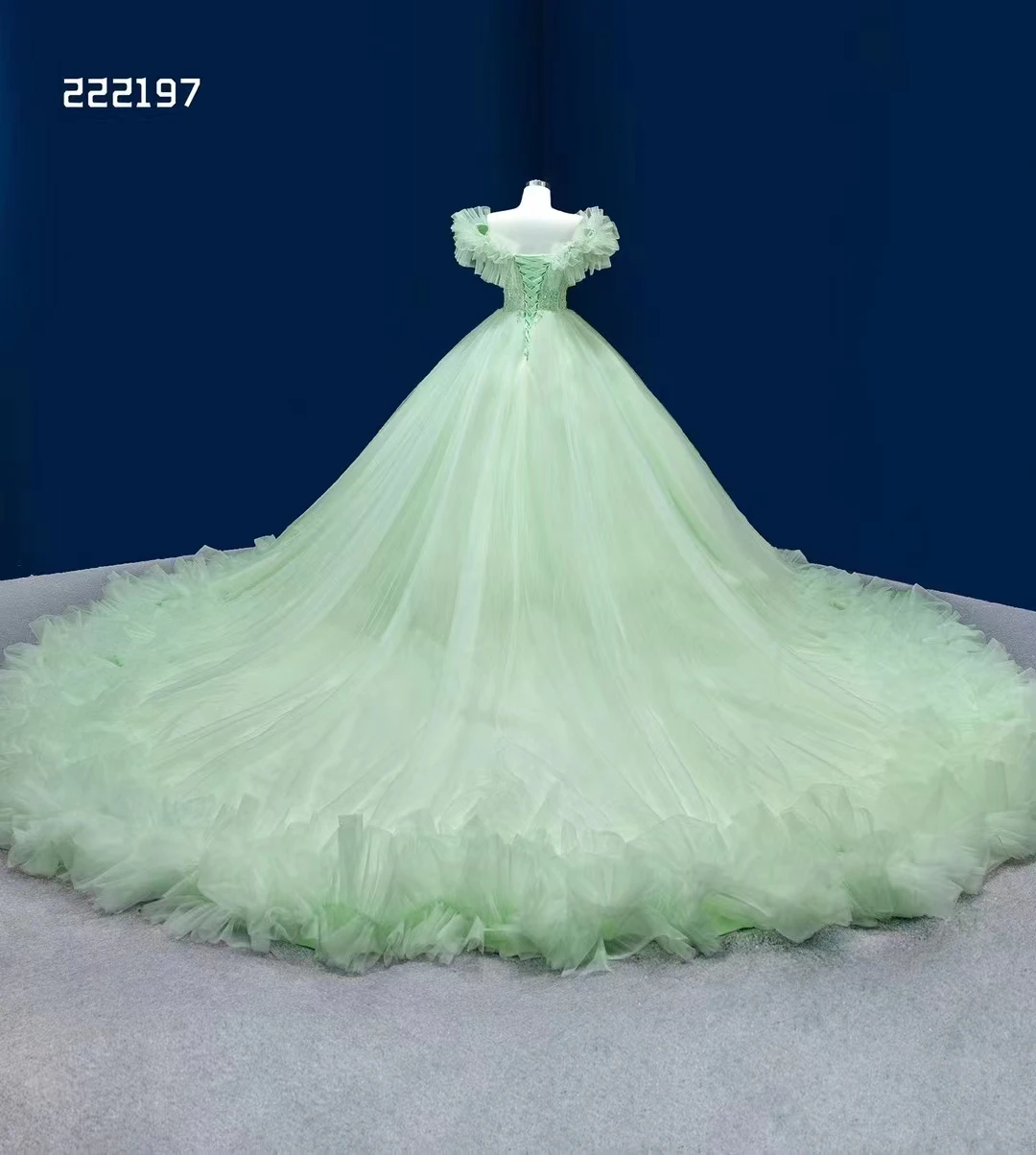 Wholesale Feishiluo Modern Plus Size Light Green Tulle Evening Dresses  Women's Wedding Ball Gowns Long Cathedral Lace