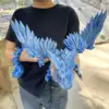 Argent bleu