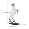Cavallo bianco