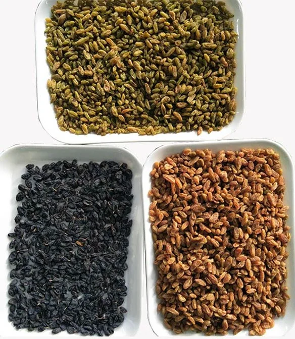 Wenyao 5 Chute Top Quality Color Sorter Fast Delivery Large Capacity Nut Raisin Color Sorting Machine for Fresh and Dried Fruit 7