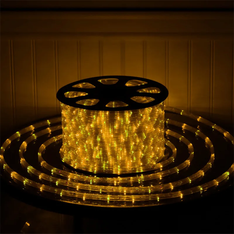 110V/220V RGB LEDストリップロープライト100mカラーチェンジ