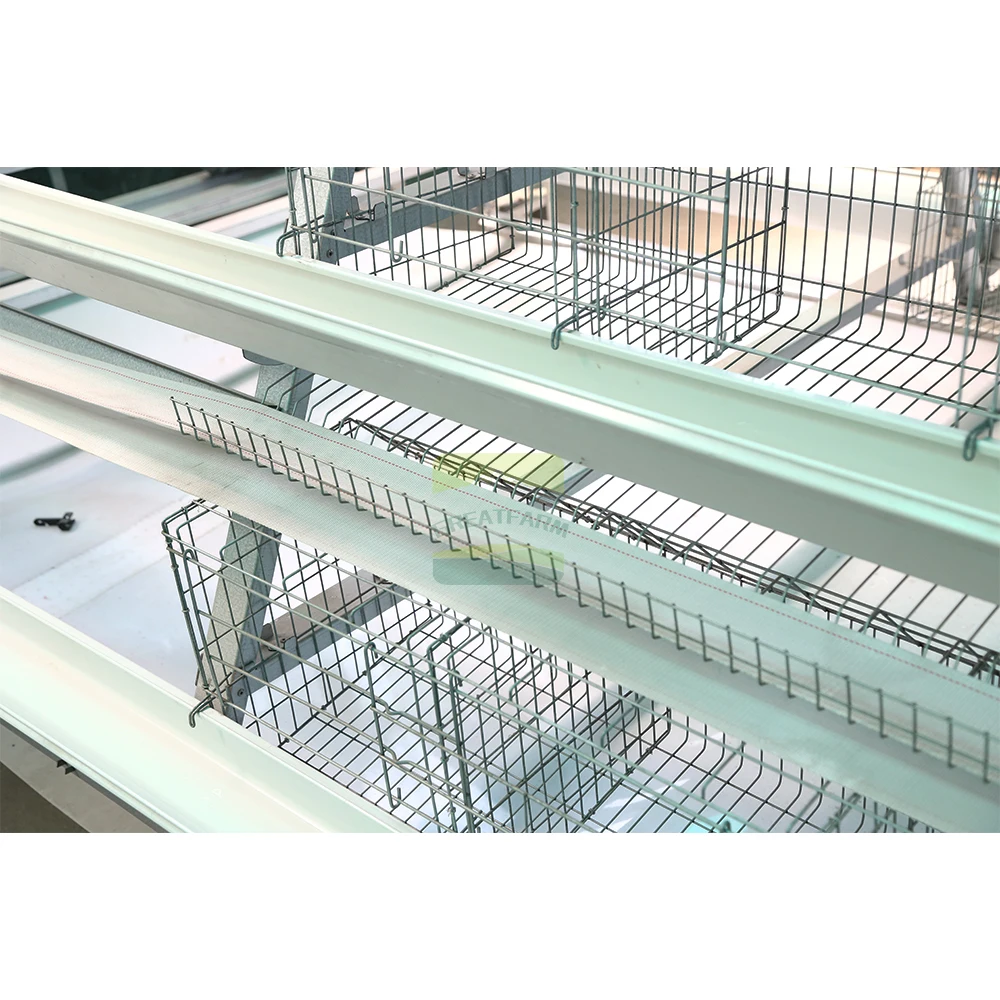 Galvanized Automatic Farming Equipment Type a Egg Laying Hens  Chicken Layer Battery Steel Cages