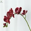Agate Rouge Nouveau