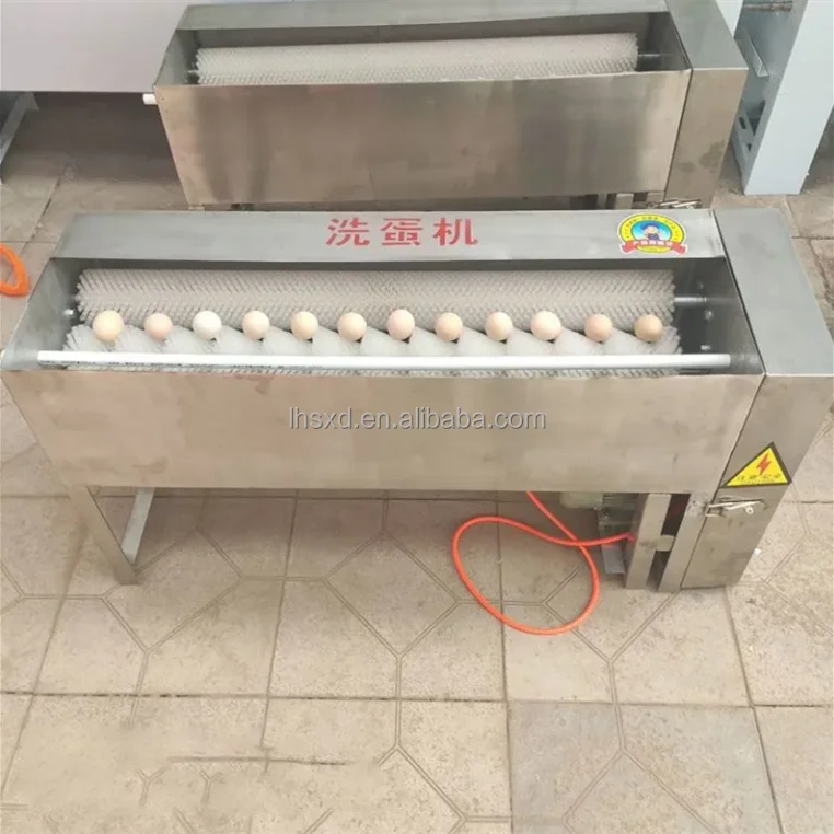 New Automatic Egg Washing Machine / Salted Duck Egg Cleaning Machine