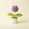 Plantas en maceta de tulipán de color morado oscuro