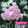 Trident Secret Rose clair