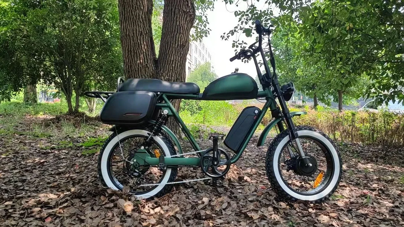 electric bike for two