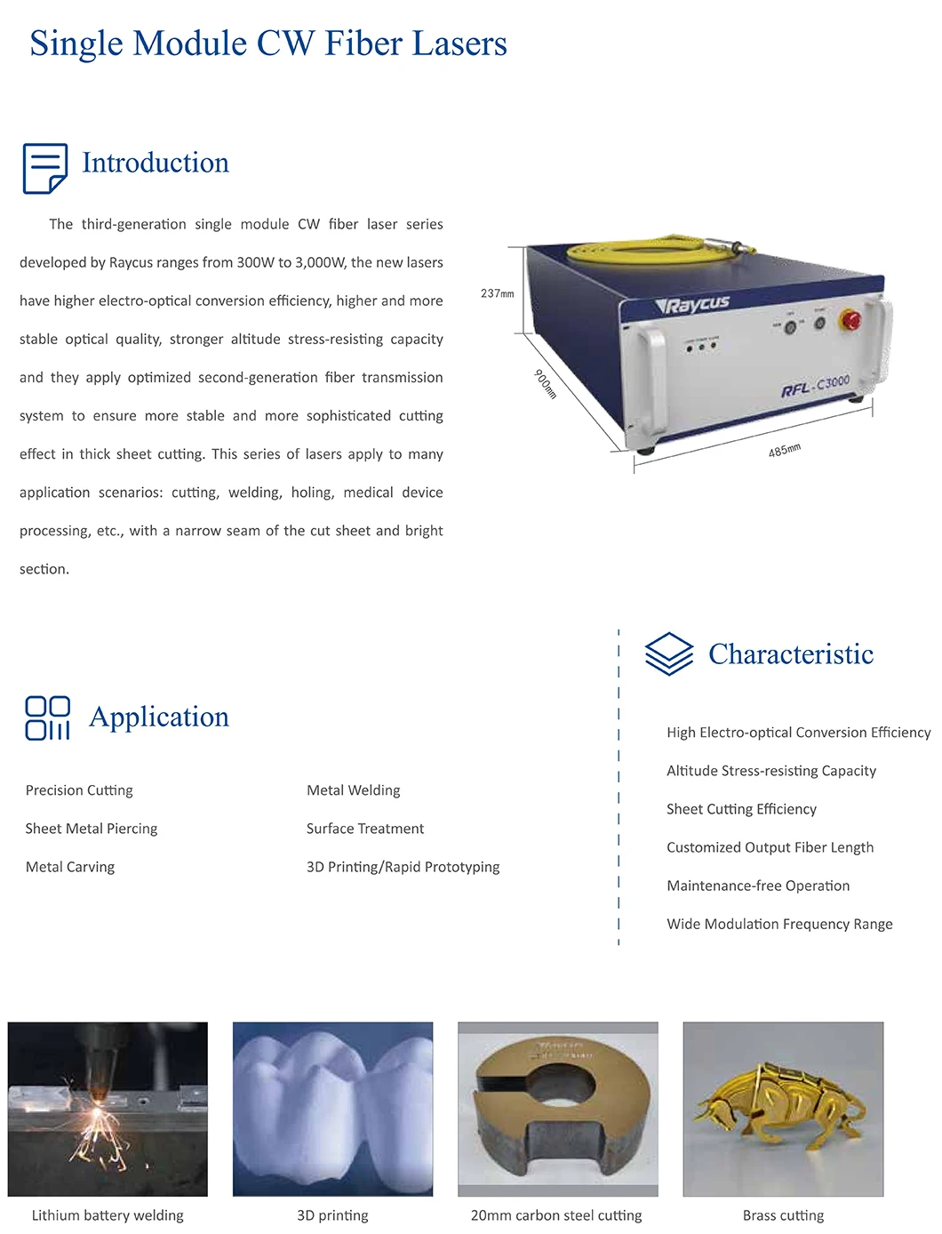 raycus 500W 750W 1000W 1500W 2000W 3000W 4000W 6000W 8000W 10000W 12000W 15000W 20000W fiber laser source