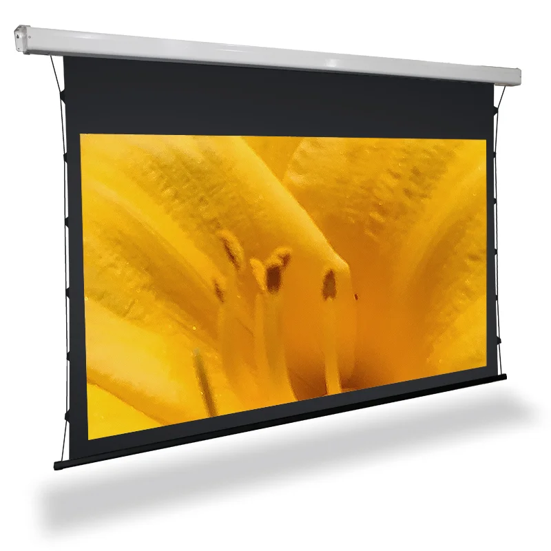 120 Inch Electric Projection Screen Motorized In Ceiling Projector