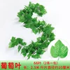66 leaf 3D grape leaves-2