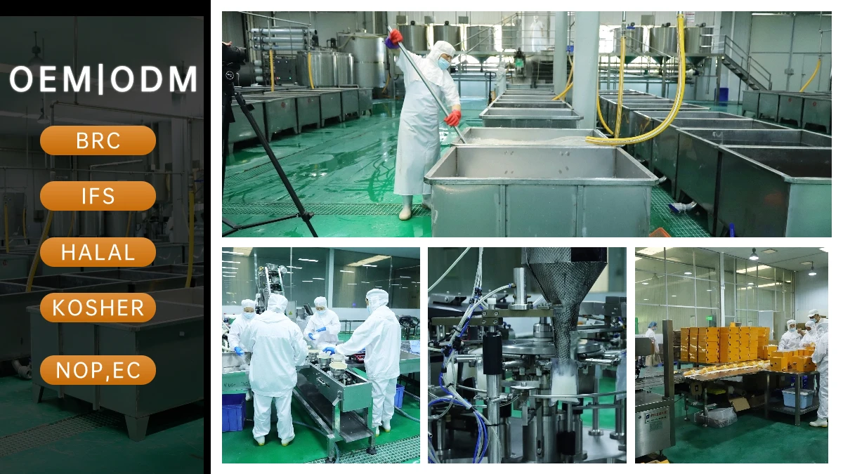 Нулевая калорийная пищевая диета глюкоманнан зити Пенне Конняку Слим