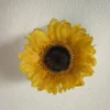 6#