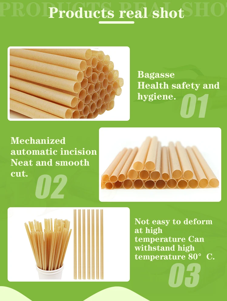 Sugarcane Straws Alternative To Plastic & Paper Straws Natural Plant